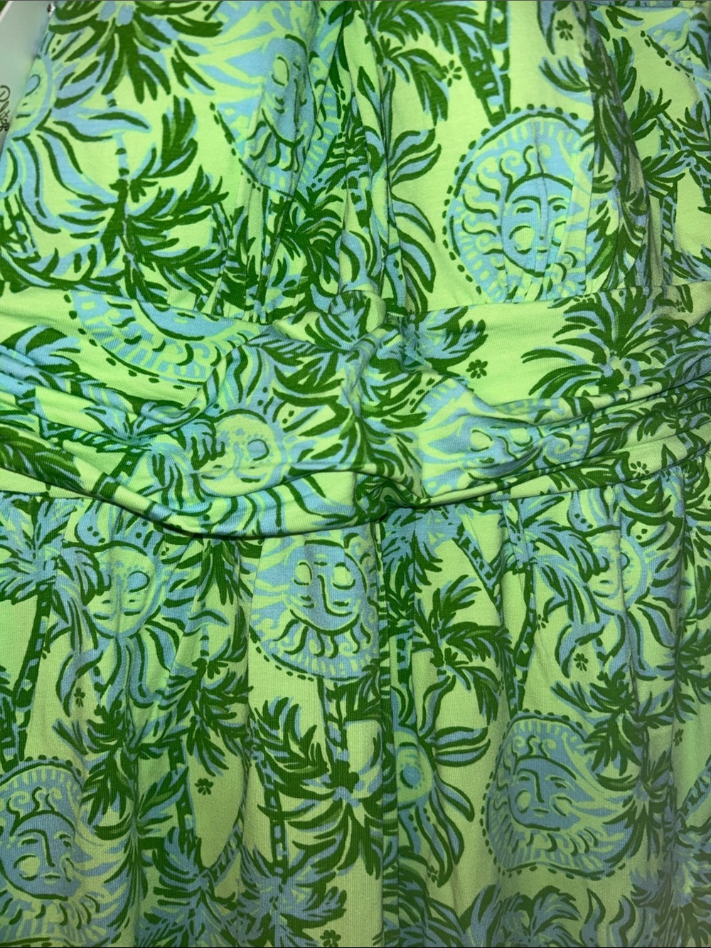 Lilly Pulitzer Lime Green and Light Blue Palm Print Dress - Picture 4 of 11